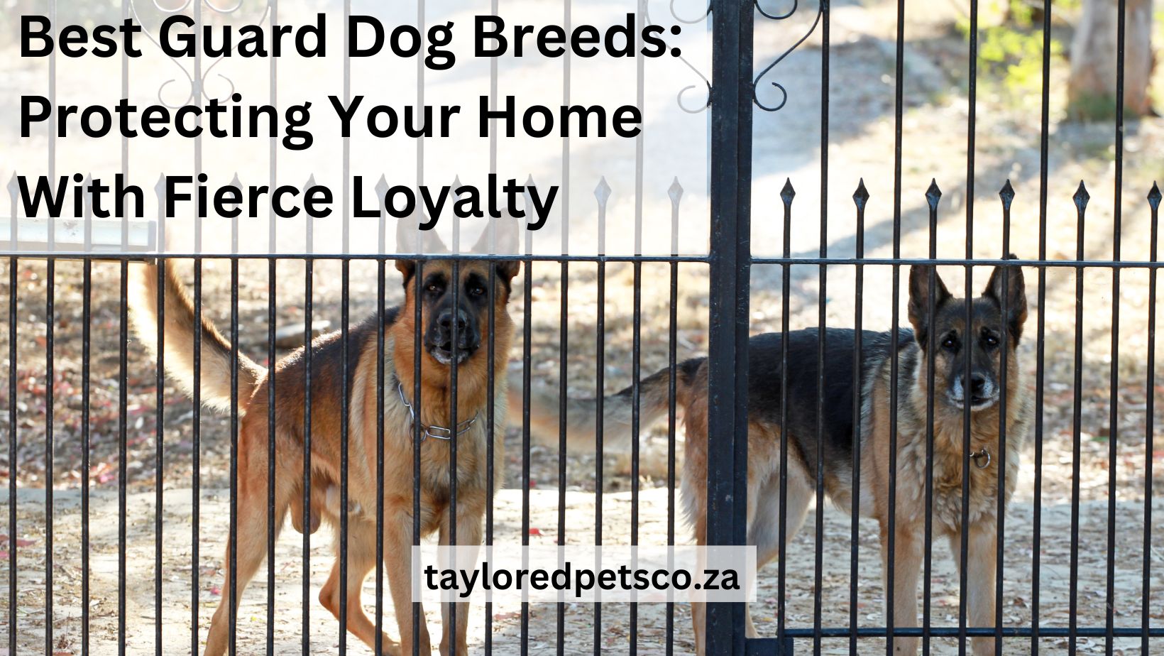 The Best Guard Dog Breeds